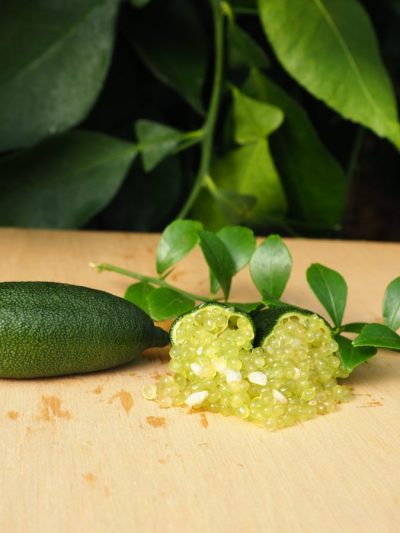 Plante de Citron Caviar Rouge Agrume Finger Citron Vert à l'Arbre en Pot 35  cm de haut 120-140 cm 4 Année de Greffe Made Italy : : Epicerie