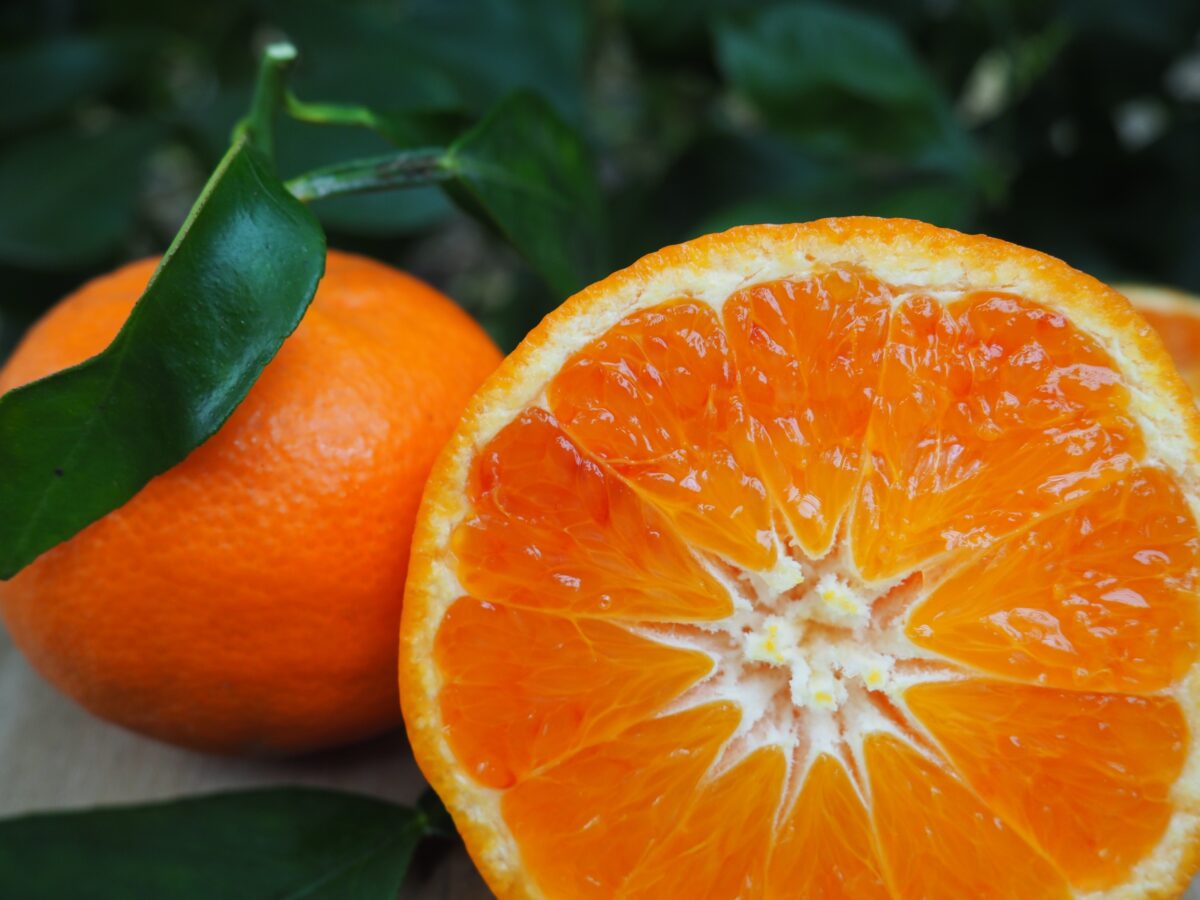 Mandared – Image 2