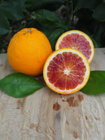 Orange Tarocco Meli