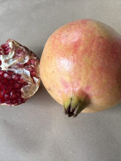 Grenadier Mollar de Elche