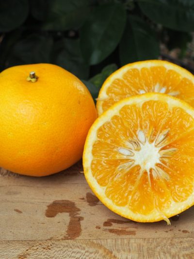 Pomelo Poorman