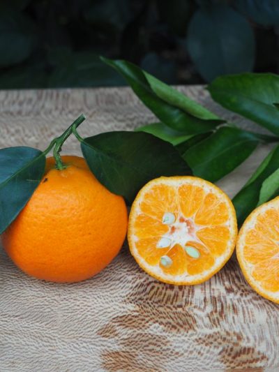 Mandarine Honey