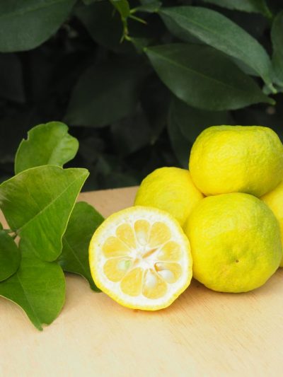 Mandarine Keraji Kabushi