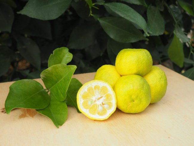 Mandarine Keraji Kabushi