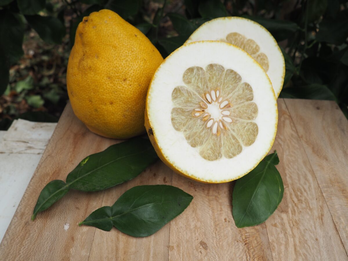Pamplemousse Litchi